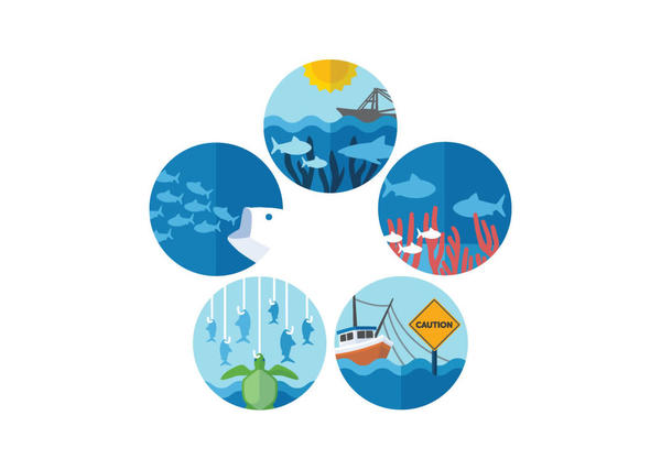 EBFM overview © Pew Charitable Trusts EBFM overview © Pew Charitable Trusts